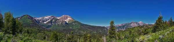 Timpanogos Indietro Pine Hollow Hiking Views Trail Uinta Wasatch Cache — Foto Stock