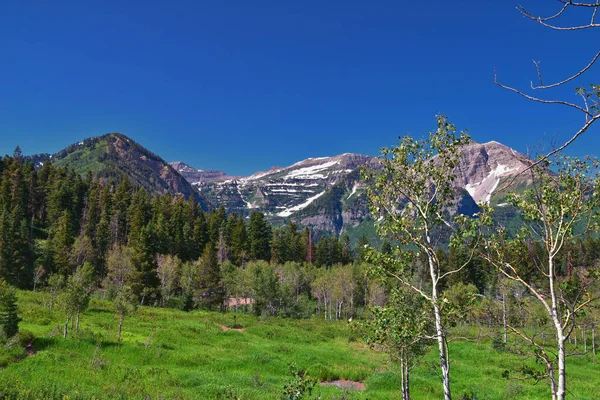 トレイルウィンタワサッチキャッシュ国立森 ロッキー山脈 ユタからパインホロウハイキングの景色をバック アメリカ合衆国 — ストック写真