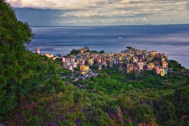 Cinque Terre, İtalyan Riviera kıyı şeridindeki sahil köylerinin yürüyüş parkurlarından manzara sunar. Liguria, İtalya, Avrupa. 2023 Yazı. 