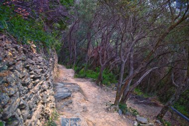 Cinque Terre, İtalyan Riviera kıyı şeridinde sahil köyleri boyunca yürüyüş parkurları görüyor. Liguria, İtalya, Avrupa. 2023 Yazı. 