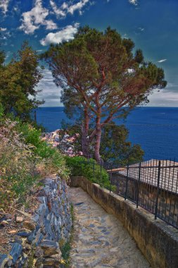 Cinque Terre, İtalyan Riviera kıyı şeridinde sahil köyleri boyunca yürüyüş parkurları görüyor. Liguria, İtalya, Avrupa. 2023 Yazı. 