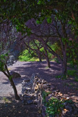 Cinque Terre, İtalyan Riviera kıyı şeridinde sahil köyleri boyunca yürüyüş parkurları görüyor. Liguria, İtalya, Avrupa. 2023 Yazı. 