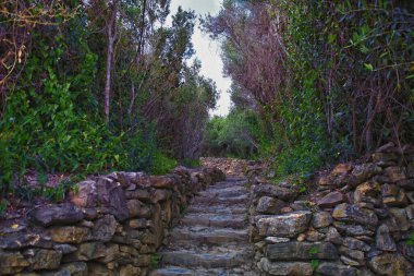 Cinque Terre, İtalyan Riviera kıyı şeridinde sahil köyleri boyunca yürüyüş parkurları görüyor. Liguria, İtalya, Avrupa. 2023 Yazı. 