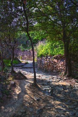 Cinque Terre, İtalyan Riviera kıyı şeridinde sahil köyleri boyunca yürüyüş parkurları görüyor. Liguria, İtalya, Avrupa. 2023 Yazı. 