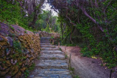 Cinque Terre, İtalyan Riviera kıyı şeridinde sahil köyleri boyunca yürüyüş parkurları görüyor. Liguria, İtalya, Avrupa. 2023 Yazı. 