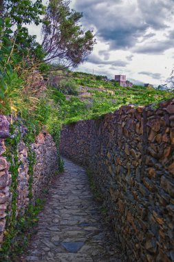 Cinque Terre, İtalyan Riviera kıyı şeridinde sahil köyleri boyunca yürüyüş parkurları görüyor. Liguria, İtalya, Avrupa. 2023 Yazı. 