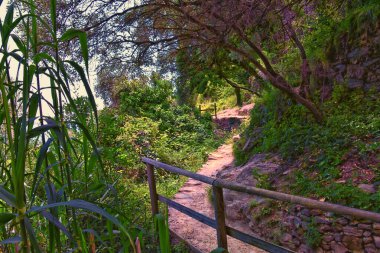 Cinque Terre, İtalyan Riviera kıyı şeridinde sahil köyleri boyunca yürüyüş parkurları görüyor. Liguria, İtalya, Avrupa. 2023 Yazı. 