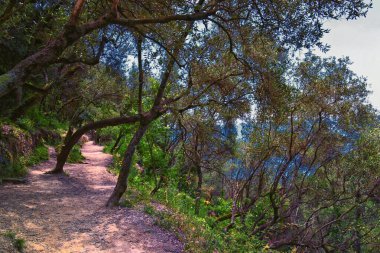 Cinque Terre, İtalyan Riviera kıyı şeridinde sahil köyleri boyunca yürüyüş parkurları görüyor. Liguria, İtalya, Avrupa. 2023 Yazı. 