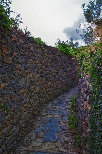 Cinque Terre, İtalyan Riviera kıyı şeridinde sahil köyleri boyunca yürüyüş parkurları görüyor. Liguria, İtalya, Avrupa. 2023 Yazı. 