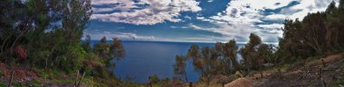 Cinque Terre Akdeniz şehri boyunca İtalyan Riviera kıyı şeridi boyunca yürüyüş yapar. Liguria, İtalya, Avrupa. 2023 Yazı. 