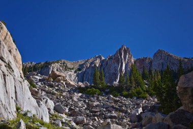 Lone Peak ve çevresindeki manzara Jacobs Merdiven Yürüyüş Yolu, Lone Peak Wilderness, Wasatch Rocky Dağları, Utah, ABD.