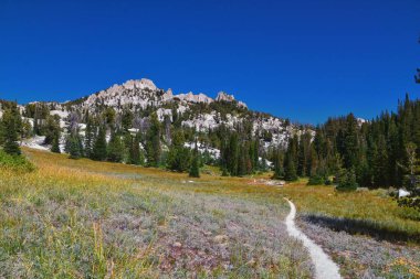 Lone Peak ve çevresindeki manzara Jacobs Merdiven Yürüyüş Yolu, Lone Peak Wilderness, Wasatch Rocky Dağları, Utah, ABD.