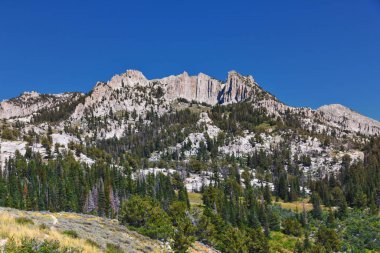 Lone Peak ve çevresindeki manzara Jacobs Merdiven Yürüyüş Yolu, Lone Peak Wilderness, Wasatch Rocky Dağları, Utah, ABD.