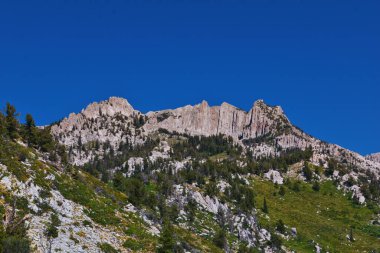 Lone Peak ve çevresindeki manzara Jacobs Merdiven Yürüyüş Yolu, Lone Peak Wilderness, Wasatch Rocky Dağları, Utah, ABD.