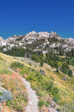 Lone Peak ve çevresindeki manzara Jacobs Merdiven Yürüyüş Yolu, Lone Peak Wilderness, Wasatch Rocky Dağları, Utah, ABD.