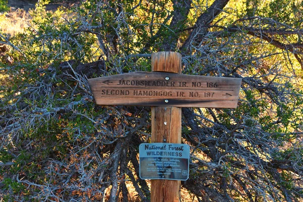 Hiking Trail Sign Lone Peak Jacobs Ladder Wasatch Ricky Mountains, Salt Lake, Utah. USA.