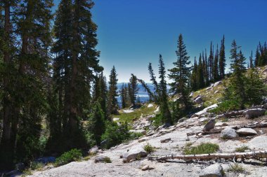 Lone Peak yürüyüş yolu manzarası ve Jacobs Merdiveni, Wasatch Rocky Dağları, Utah, ABD.