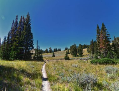 Lone Peak yürüyüş yolu manzarası ve Jacobs Merdiveni, Wasatch Rocky Dağları, Utah, ABD.