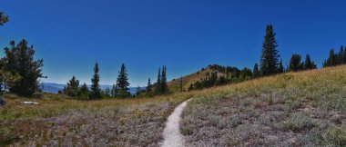 Lone Peak yürüyüş yolu manzarası ve Jacobs Merdiveni, Wasatch Rocky Dağları, Utah, ABD.