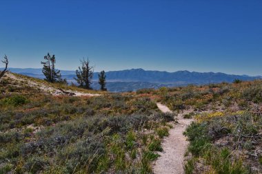 Lone Peak yürüyüş yolu manzarası ve Jacobs Merdiveni, Wasatch Rocky Dağları, Utah, ABD.