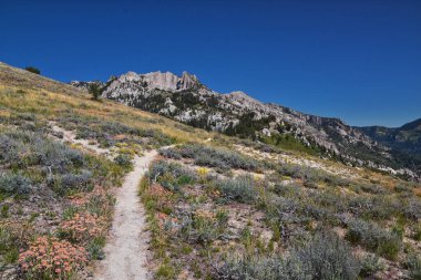 Lone Peak yürüyüş yolu manzarası ve Jacobs Merdiveni, Wasatch Rocky Dağları, Utah, ABD.