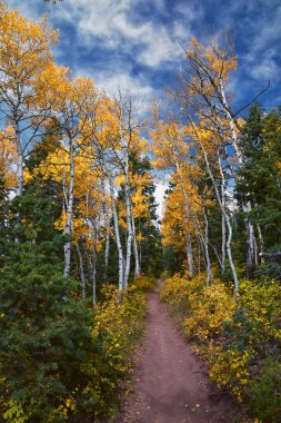 Timpanogos geri Willow Hollow Tepesi, Pine Hollow Trail yürüyüş parkuru manzarası Wasatch Rocky Dağları, Utah. Birleşik Devletler.