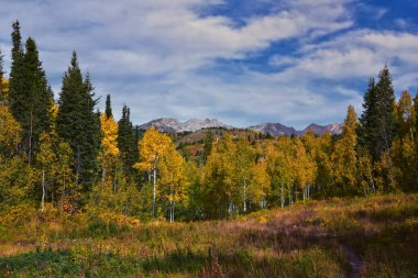Timpanogos geri panoramik manzara, Willow Hollow Tepesi, Pine Hollow Patikası yürüyüş yolu Wasatch Rocky Dağları, Utah. Birleşik Devletler.