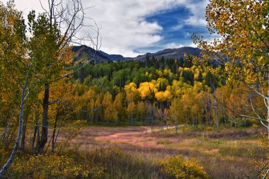 Timpanogos geri panoramik manzara, Willow Hollow Tepesi, Pine Hollow Patikası yürüyüş yolu Wasatch Rocky Dağları, Utah. Birleşik Devletler.