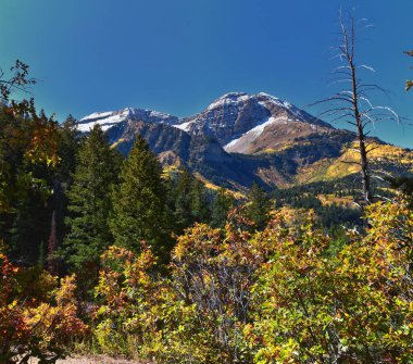 Willow Pine Hollow Tepesi 'nden Timpanogos Dağı Tepesi yürüyüş manzarası Wasatch Rocky Dağları, Utah. Birleşik Devletler.