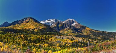 Willow Pine Hollow Tepesi 'nden Timpanogos Dağı Tepesi yürüyüş manzarası Wasatch Rocky Dağları, Utah. Birleşik Devletler.