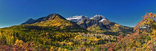 Willow Pine Hollow Tepesi 'nden Timpanogos Dağı Tepesi yürüyüş manzarası Wasatch Rocky Dağları, Utah. Birleşik Devletler.