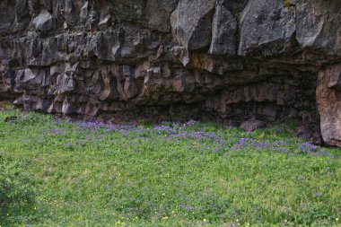 Thingvellir Ulusal Parkı ingvellir, tarihi yer, ilk parlamento ve ulusal park İzlanda 'da, Reykjavk Avrupa' nın doğusunda UNESCO