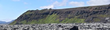 South Coast Iceland landscape by ocean with lava rock covered in white Lichens and Moss by Fagradalsfjall Volcano, Scandinavia, Europe clipart