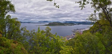 Norveç, Alesund 'dan Fjord kıyı şeridi manzarası şehrin yukarısındaki yürüyüş parkurundan, Avrupa İskandinavya manzarası