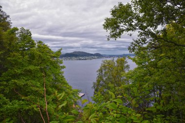 Norveç, Alesund 'dan Fjord kıyı şeridi manzarası şehrin yukarısındaki yürüyüş parkurundan, Avrupa İskandinavya manzarası