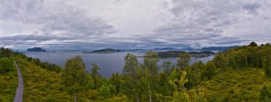 Norveç, Alesund 'dan Fjord kıyı şeridi manzarası şehrin yukarısındaki yürüyüş parkurundan, Avrupa İskandinavya manzarası