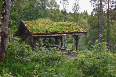 Varden yürüyüş manzarası, Molde dağ ormanlarının fiyort şehri, 2024 yazında okyanus adaları, Norveç Avrupa.