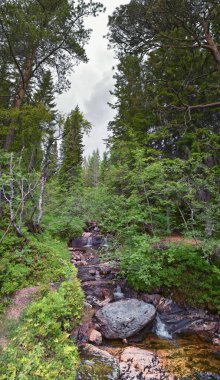 Varden yürüyüş manzarası, Molde dağ ormanlarının fiyort şehri, 2024 yazında okyanus adaları, Norveç Avrupa.