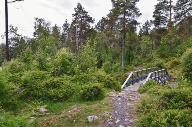 Varden viewpoint hiking trail views, fjord city of Molde mountain forests surrounded by ocean islands summer 2024, Norway Scandinavia Europe. clipart