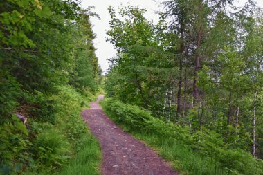 Varden viewpoint hiking trail views, fjord city of Molde mountain forests surrounded by ocean islands summer 2024, Norway Scandinavia Europe. clipart