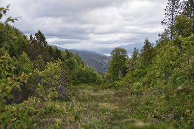 Varden bakış açısı Panoramik manzaralar, okyanus, fiyortlar, adalar yaz 2024 Molde Norveç İskandinavya Avrupa çevresi