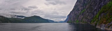 Norveç kıyısı kıyısı okyanus manzaralı. Dağlar, ormanlar, şelaleler ve küçük kasabalar. İskandinavya, Norveç