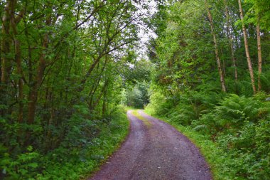 Norveç 2024 'teki Sognefjord Olden' e bakın. Küçük kasaba limanı Olden Norveç fiyortları, Rorbu evleri. Gelin Buzulu 'nun yanında. İskandinavya, Avrupa.