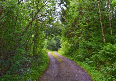 Norveç 2024 'teki Sognefjord Olden' e bakın. Küçük kasaba limanı Olden Norveç fiyortları, Rorbu evleri. Gelin Buzulu 'nun yanında. İskandinavya, Avrupa.