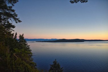 San Juan Adaları alacakaranlık ağacı kıyısı 2024 yazında Lopez Adası, takımada Washington, ABD