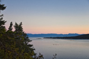 San Juan Adaları alacakaranlık ağacı kıyısı 2024 yazında Lopez Adası, takımada Washington, ABD