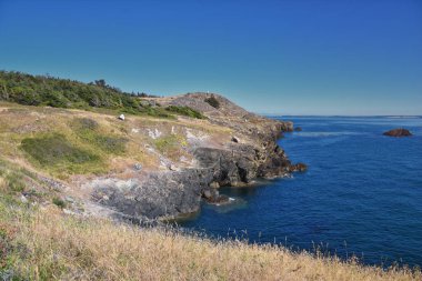 San Juan Adaları kıyı manzarası Iceberg Point 'ten Lopez Adası' nın güneybatı ucu, Washington, ABD.