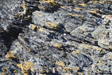 San Juan Adaları kıyı manzarası Iceberg Point 'ten Lopez Adası' nın güneybatı ucu, Washington, ABD.