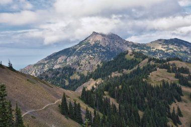 Ridge Kasırgası Olimpiyat Ulusal Parkı Port Angeles Washington ABD 'nin yürüyüş parklarından görülüyor.