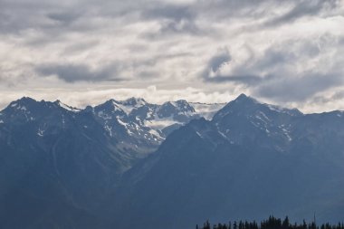 Ridge Kasırgası Olimpiyat Ulusal Parkı Port Angeles Washington ABD 'nin yürüyüş parklarından görülüyor.
